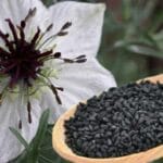 Jinten Tanaman Herbal Serbaguna dengan Segudang Manfaat