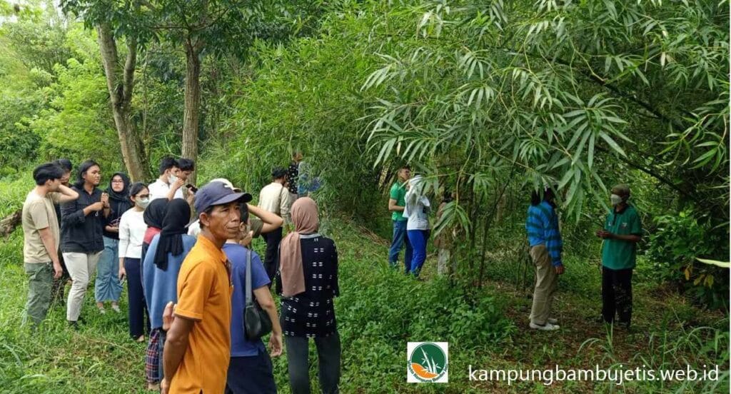 Arboretum Bambu: Laboratorium Hijau di Wisata Kampung Bambu Jetis
