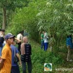 Arboretum Bambu: Laboratorium Hijau di Wisata Kampung Bambu Jetis