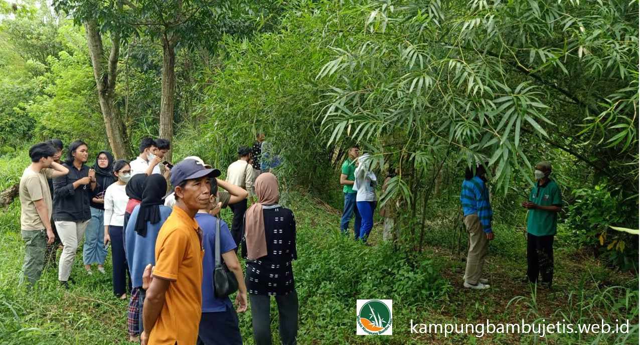Arboretum Bambu: Laboratorium Hijau di Wisata Kampung Bambu Jetis
